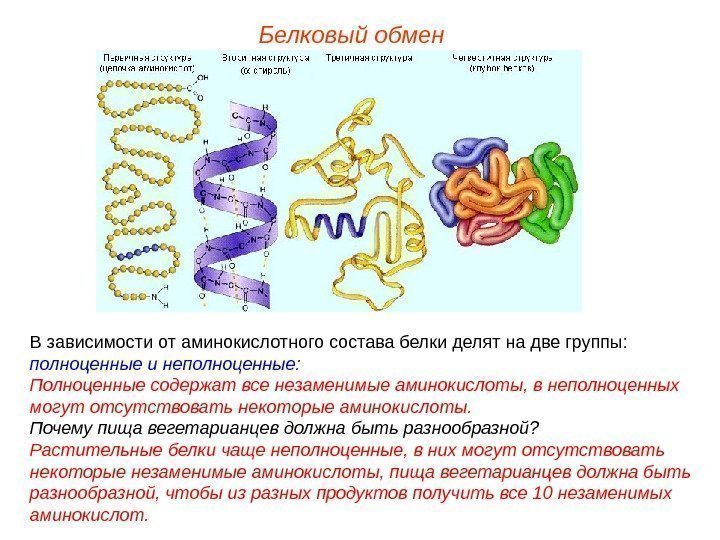 Белковый обмен В зависимости от аминокислотного состава белки делят на две группы:  полноценные