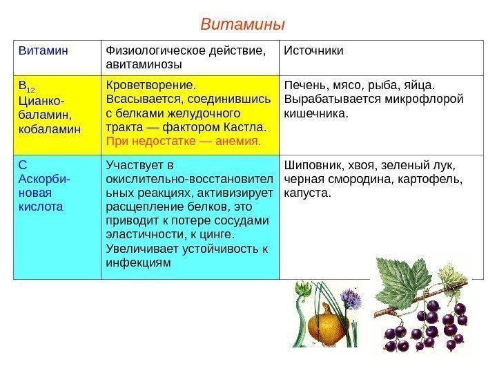 Витамины Витамин Физиологическое действие,  авитаминозы Источники В 12 Цианко- баламин,  кобаламин Кроветворение.