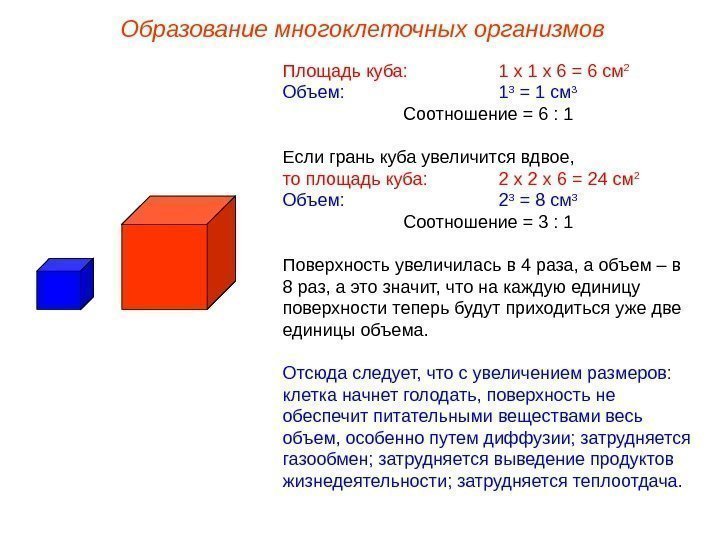 Площадь куба:  1 х 6 = 6 см 2  Объем: 1 3