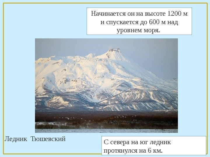 Ледник Тюшевский Начинается он на высоте 1200 м и спускается до 600 м над