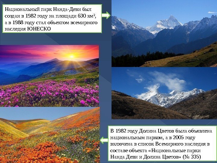 В 1982 году Долина Цветов была объявлена национальным парком, а в 2005 году включена
