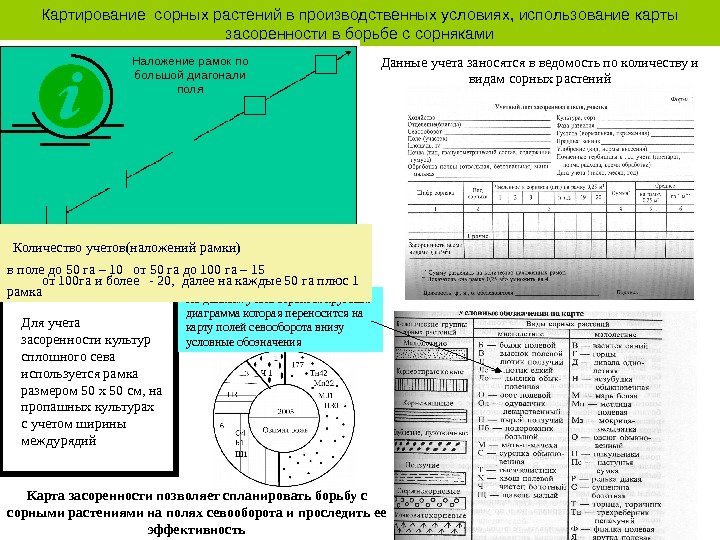 Тест течения. Ведомость первичного учета засоренности поля (участка). Картографирование сорных растений. Картирование сорняков. Карта засоренности полей севооборота.