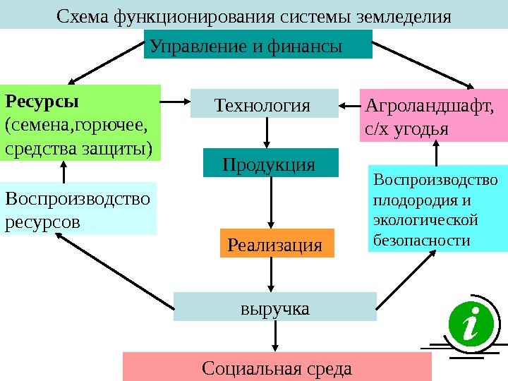   Схема функционирования системы земледелия Управление и финансы Ресурсы (семена, горючее, средства защиты)