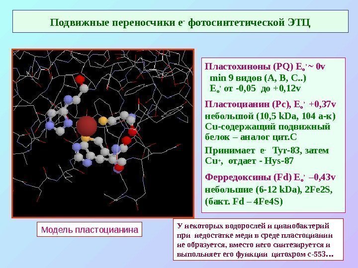   Подвижные переносчики е - фотосинтетической ЭТЦ Пластохиноны ( PQ) E o ’