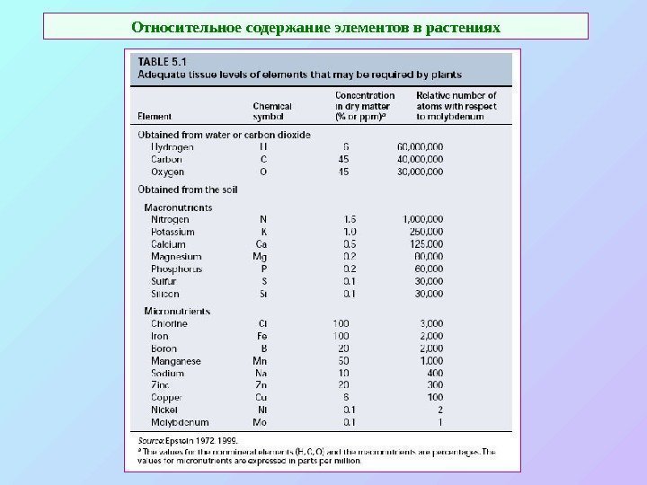 Относительное содержание элементов в растениях 