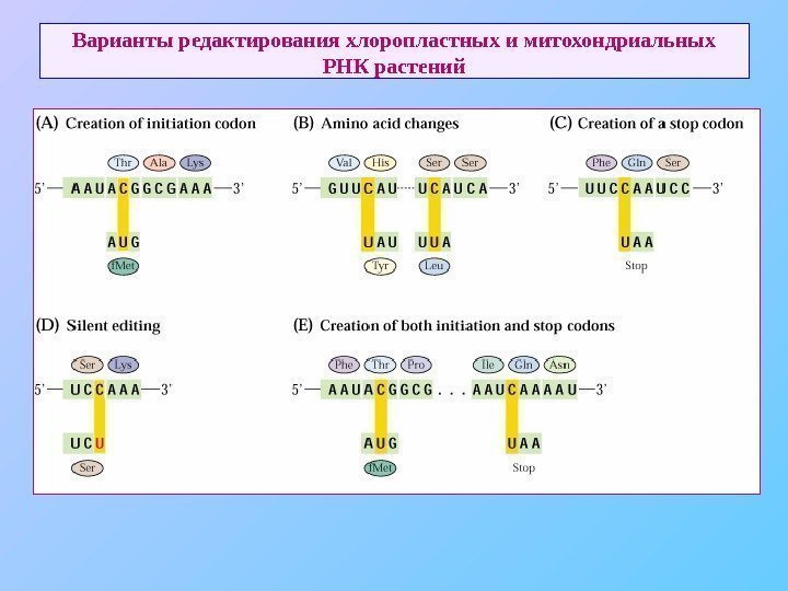   Варианты редактирования хлоропластных и митохондриальных РНК растений 