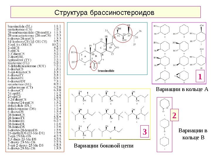   Структура брассиностероидов Вариации боковой цепи Вариации в кольце А Вариации в кольце