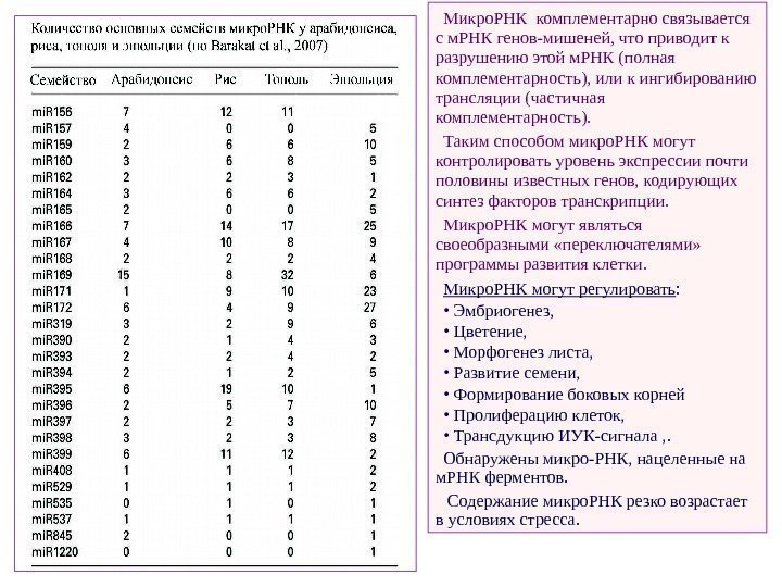   Микро. РНК комплементарно связывается с м. РНК генов-мишеней, что приводит к разрушению