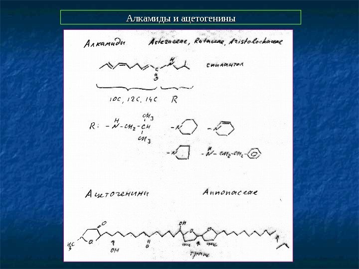 Алкамиды и ацетогенины 
