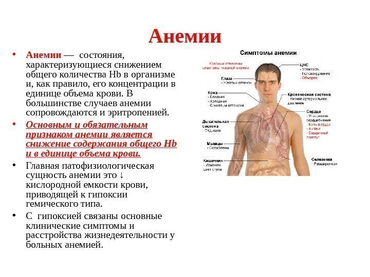 Анемии • Анемии  — состояния,  характеризующиеся снижением общего количества Нb в организме