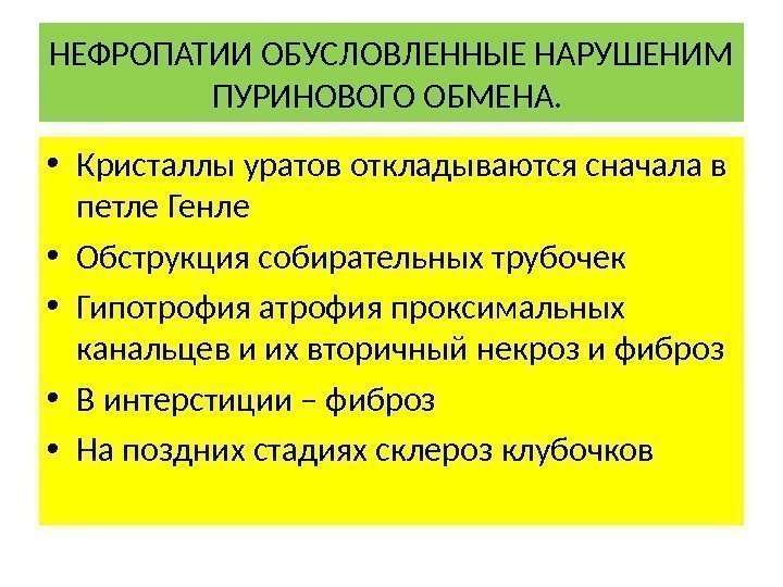 НЕФРОПАТИИ ОБУСЛОВЛЕННЫЕ НАРУШЕНИМ ПУРИНОВОГО ОБМЕНА.  • Кристаллы уратов откладываются сначала в петле Генле