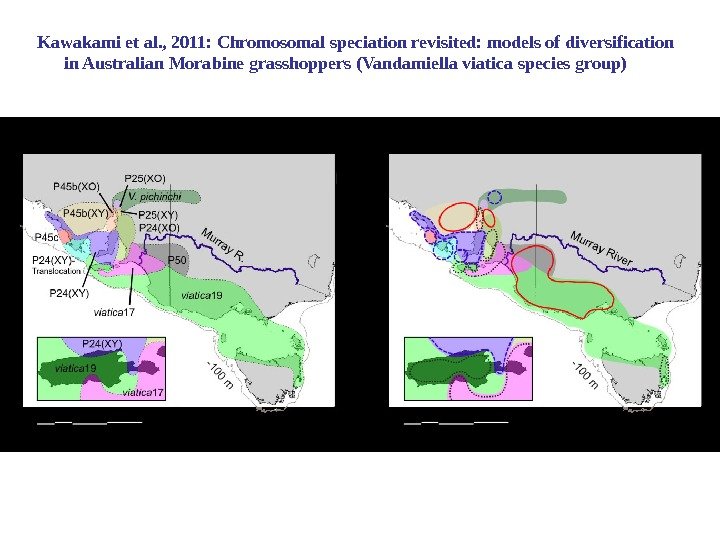 Kawakami et al. , 2011: Chromosomal speciation revisited: models of diversification in Australian Morabine