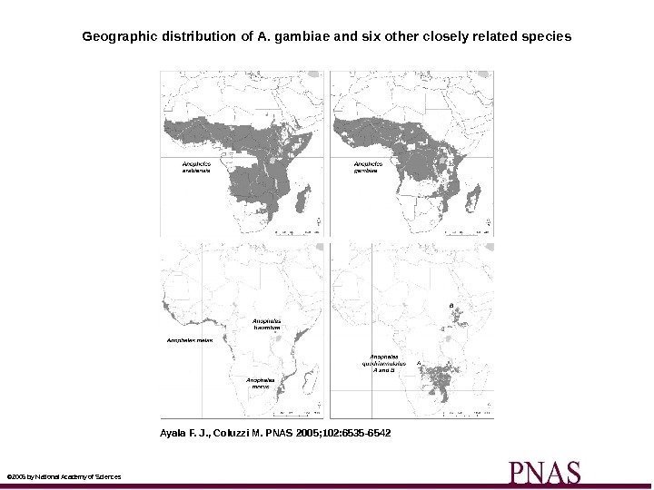 Geographic distribution of A. gambiae and six other closely related species Ayala F. J.