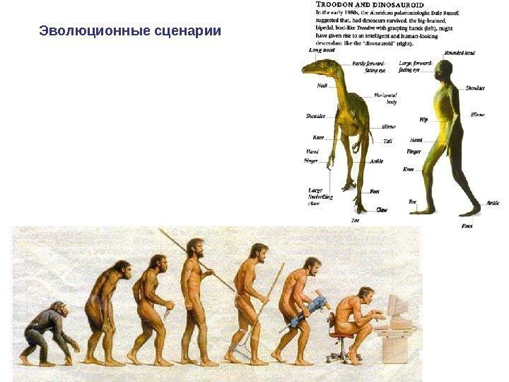 Эволюционные сценарии 