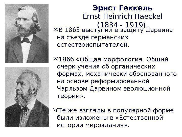 Эрнст Геккель Ernst Heinrich Haeckel (1834 - 1919)  В 1863 выступил в защиту