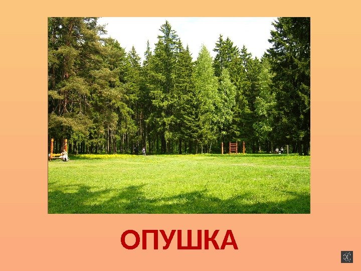 ОПУШКА 