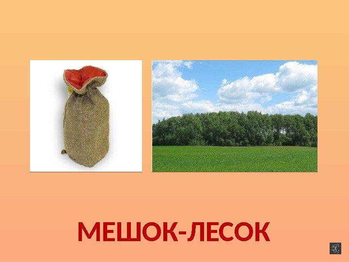 МЕШОК-ЛЕСОК  