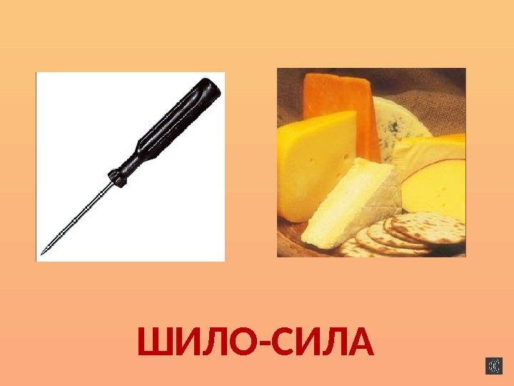 ШИЛО-СИЛА  