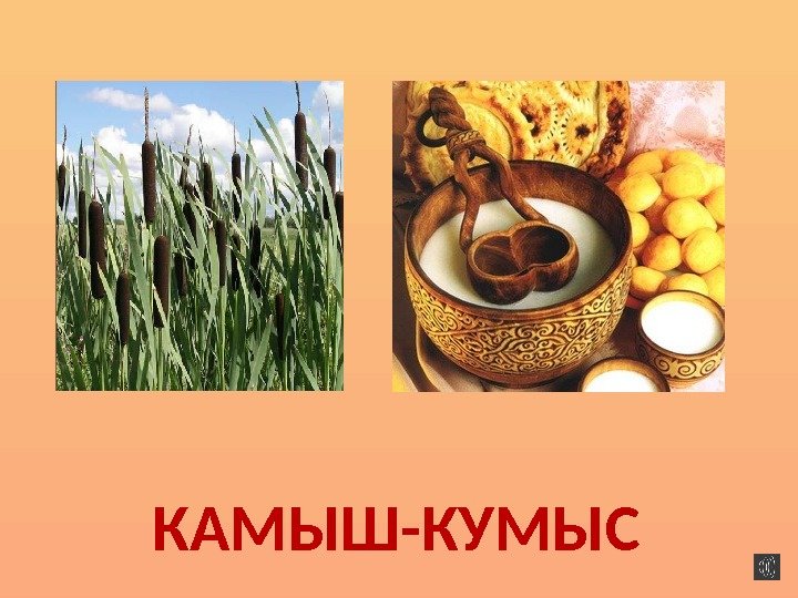 КАМЫШ-КУМЫС  