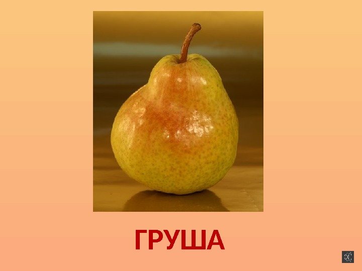 ГРУША 