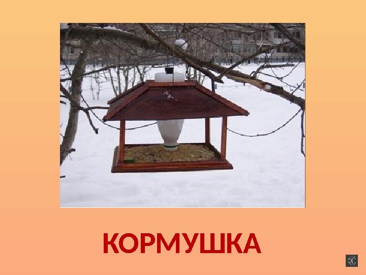 КОРМУШКА 