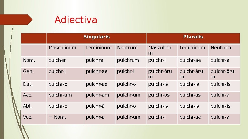 Adiectiva Singularis Pluralis Masculinum Femininum Neutrum Masculinu m Femininum Neutrum Nom. pulcher pulchra pulchrum