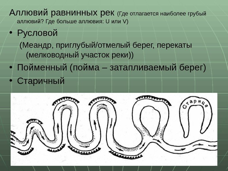 Аллювий равнинных рек (Где отлагается наиболее грубый аллювий? Где больше аллювия:  U или