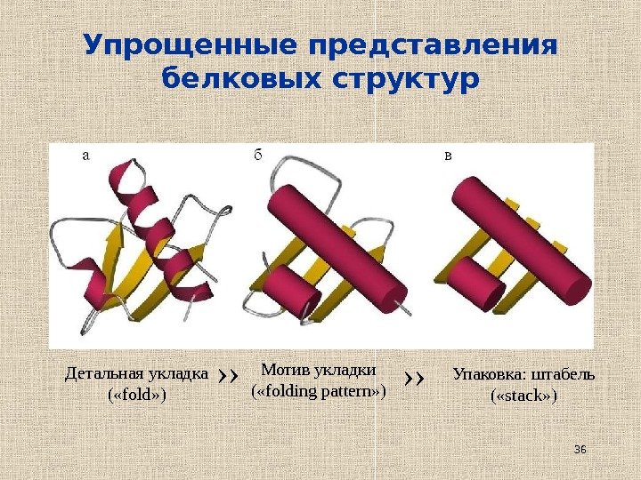 36 Упрощенные представления белковых структур Детальная укладка ( « fold » ) Мотив укладки