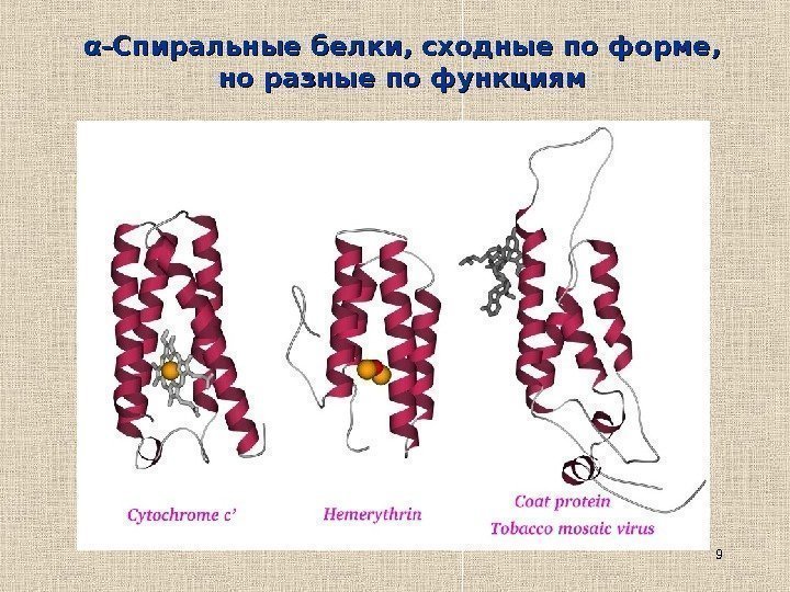 9αα -Спиральные белки, сходные по форме,  но разные по функциям 