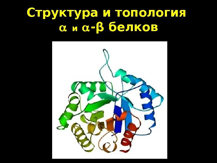   1 Структура и топология ии -- ββ белков 