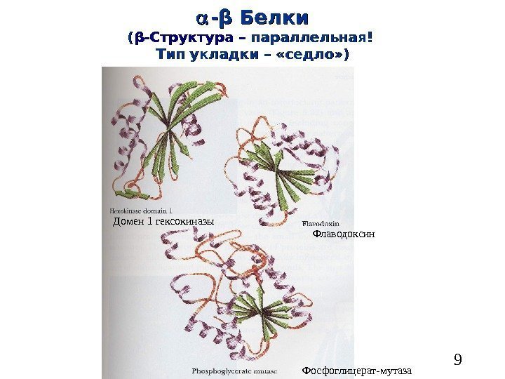   9 -- ββ Белки (( ββ -Структура – параллельная! Тип укладки –