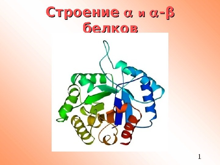   1 Строение ии -- ββ  белков 