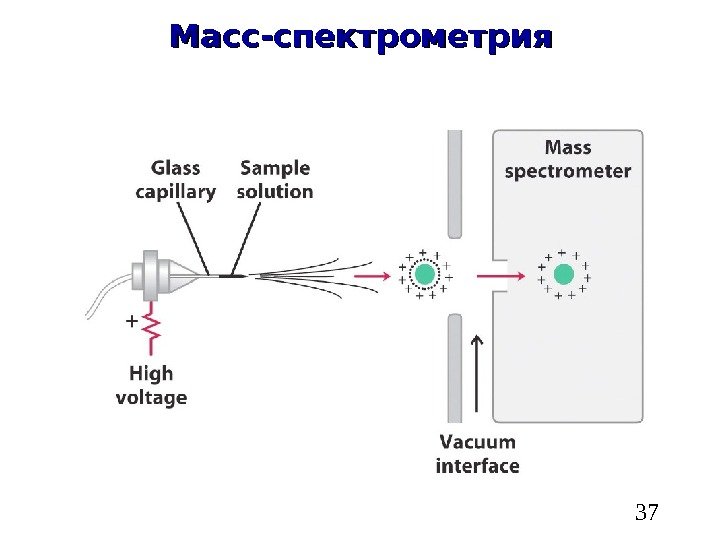   37 Масс-спектрометрия 