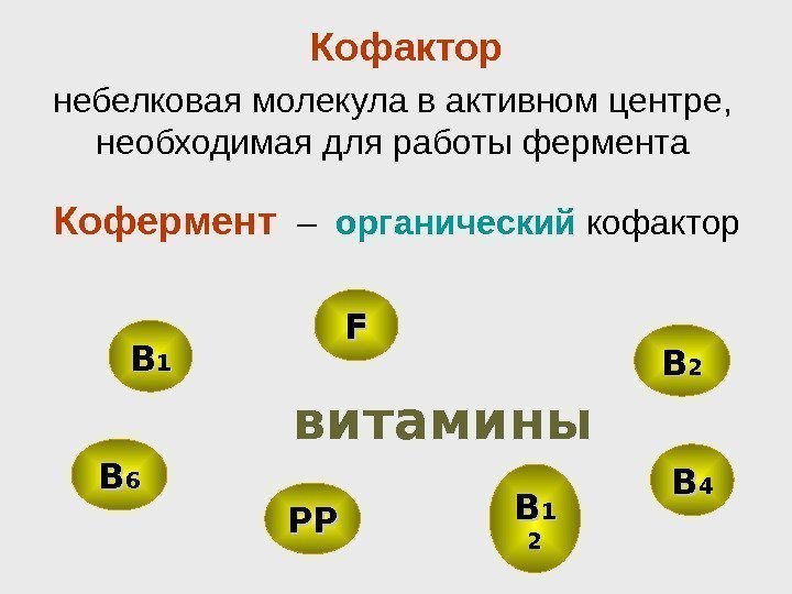 BB 44 FF BB 11 22 BB 66 PPPP ВВ 22 витамины. Кофермент 