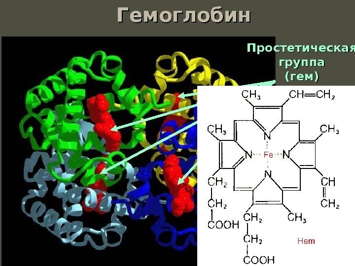 Гемоглобин Простетическая группа (гем) 