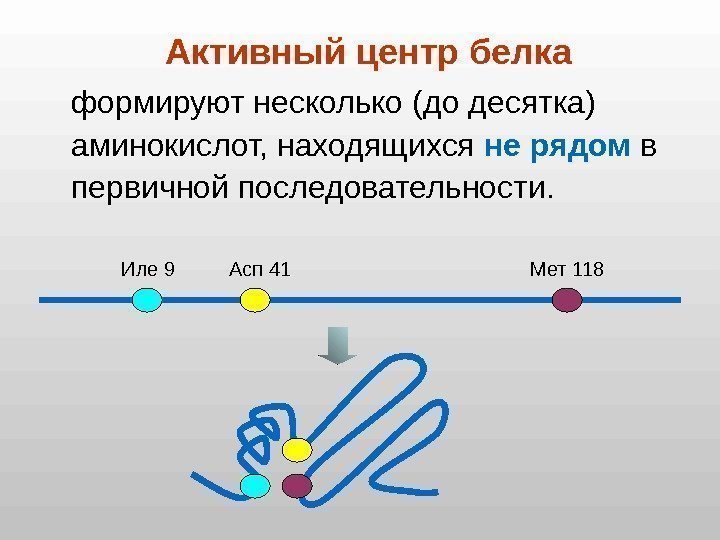 Активный центр белка формируют несколько (до десятка) аминокислот, находящихся не рядом в первичной последовательности.