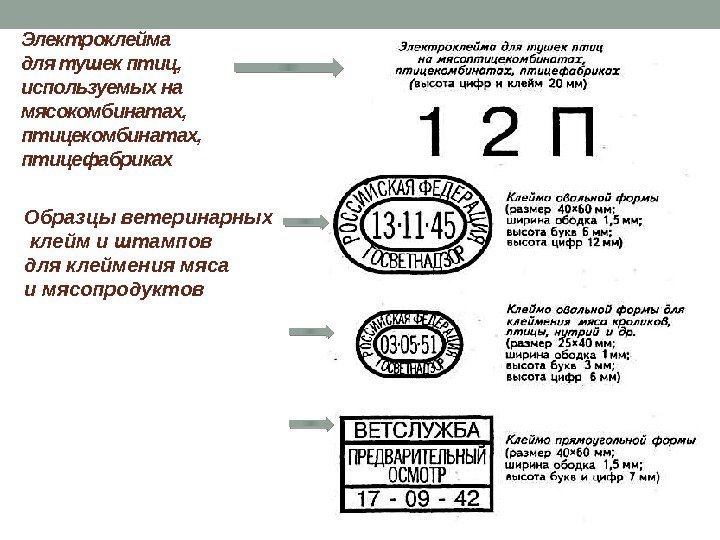 Классификация маркировки. Клеймение и маркировка мяса. Ветеринарные штампы используемые для клеймения мяса и мясопродуктов. Образцы ветеринарных клейм и штампов мяса птицы. Ветеринарное клеймение мяса таблица.