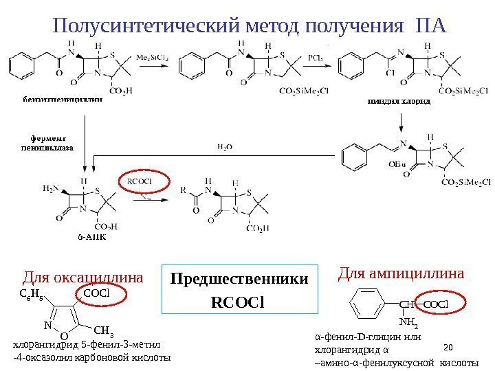 20 Полусинтетический метод получения ПА Предшественники RCOCl Для ампициллина Для оксациллина. CH NH 2