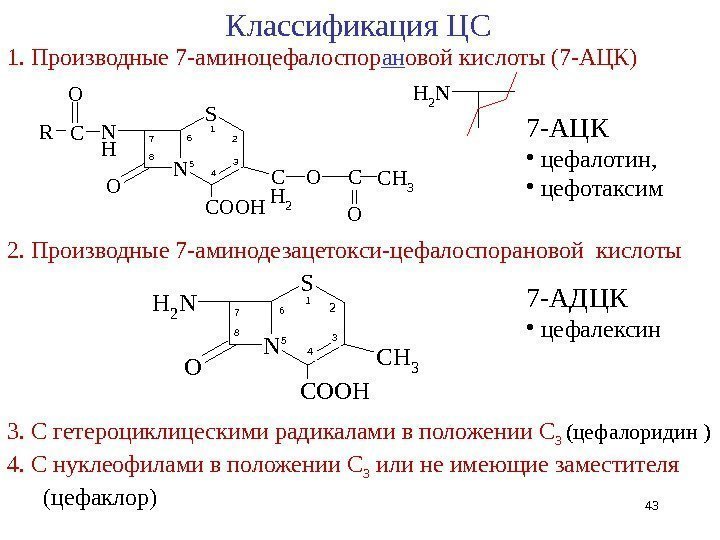 Классификация ЦС 1. Производные 7 -аминоцефалоспор ан овой кислоты (7 -АЦК)O N H N