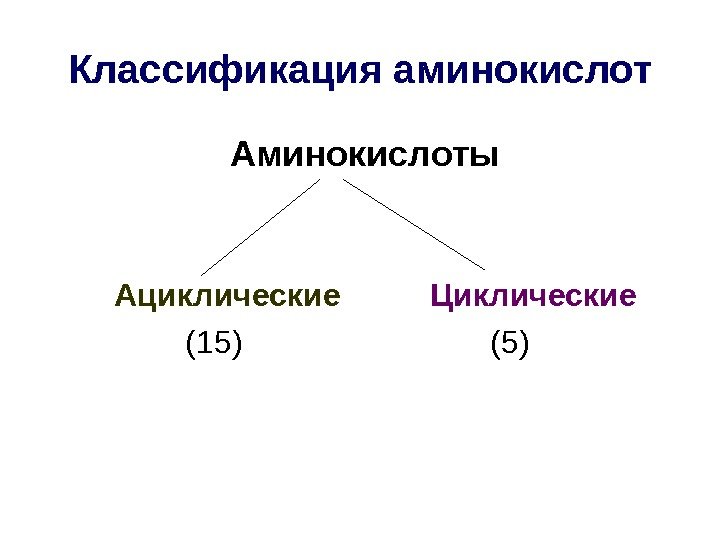 Классификация аминокислот    Аминокислоты   Ациклические  Циклические   (15)