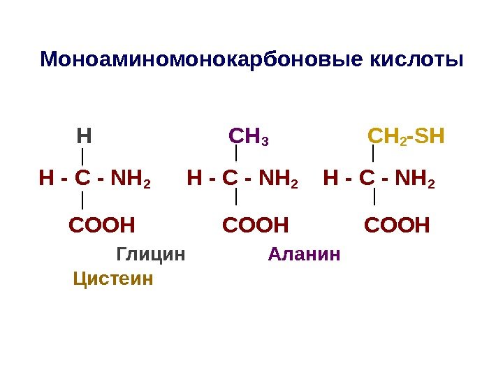 Моноаминомонокарбоновые кислоты   H    СН 3    СН