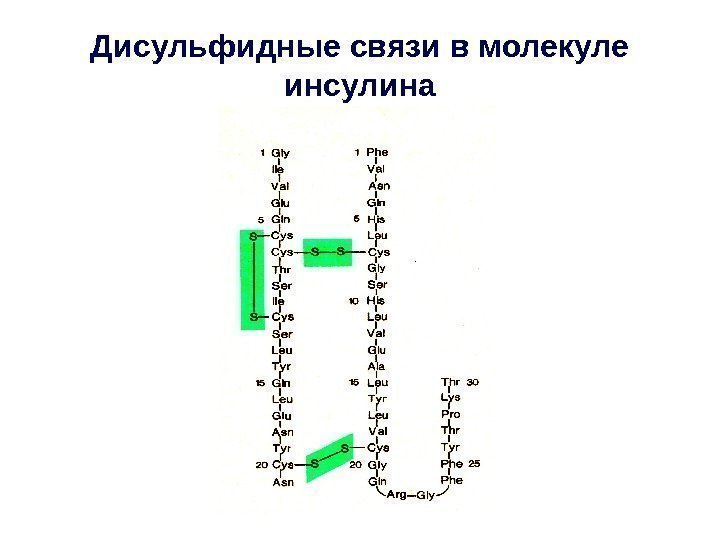 Дисульфидные связи в молекуле инсулина 