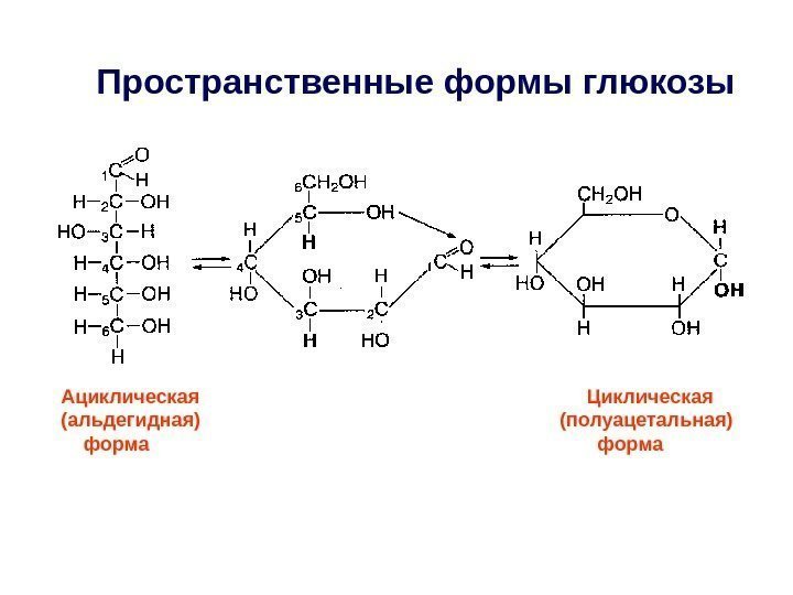 Ациклическая       Циклическая (альдегидная)     