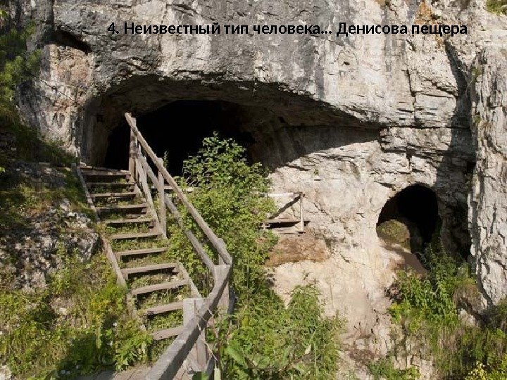 4. Неизвестный тип человека… Денисова пещера 