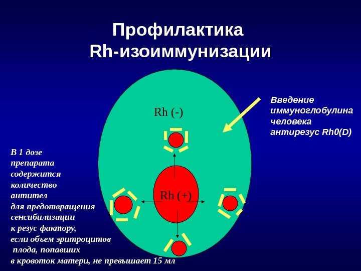Профилактика Rh- изоиммунизации Rh (+)Rh (-) Введение иммуноглобулина человека антирезус Rh 0(D) В 1