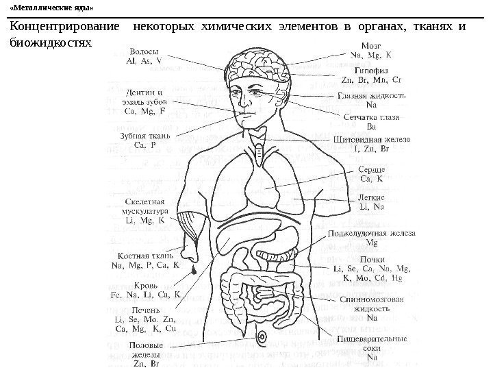  «Металлические яды» Концентрирование  некоторых химических элементов в органах,  тканях и биожидкостях