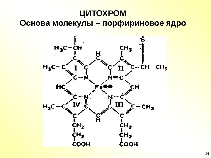 34 ЦИТОХРОМ Основа молекулы – порфириновое ядро 