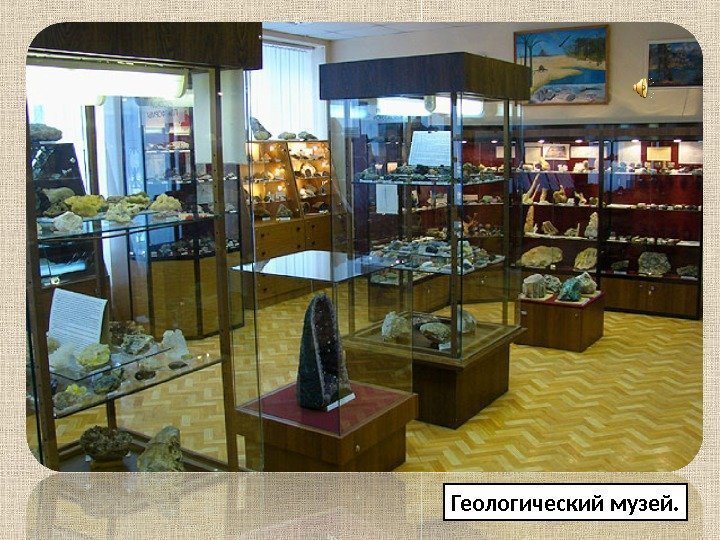 Геологический музей. 