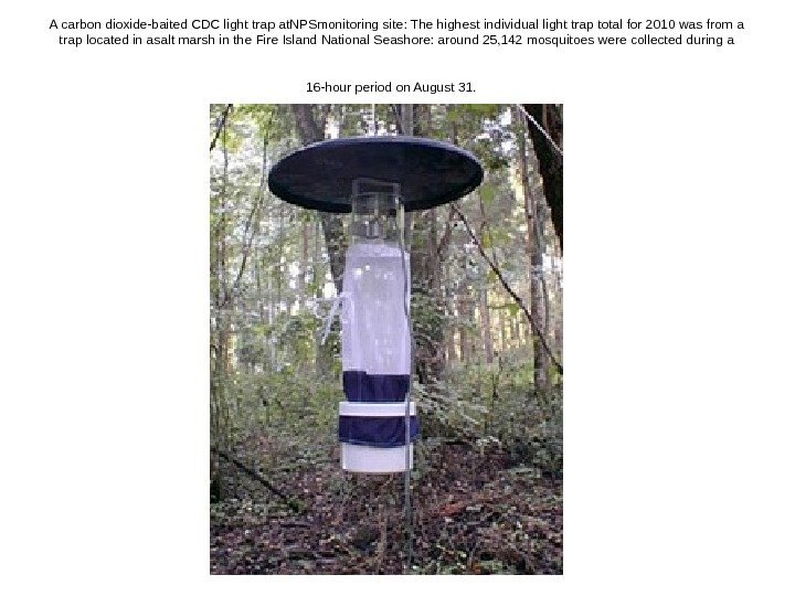   A carbon dioxide-baited CDC light trap at. NPSmonitoring site: The highest individual
