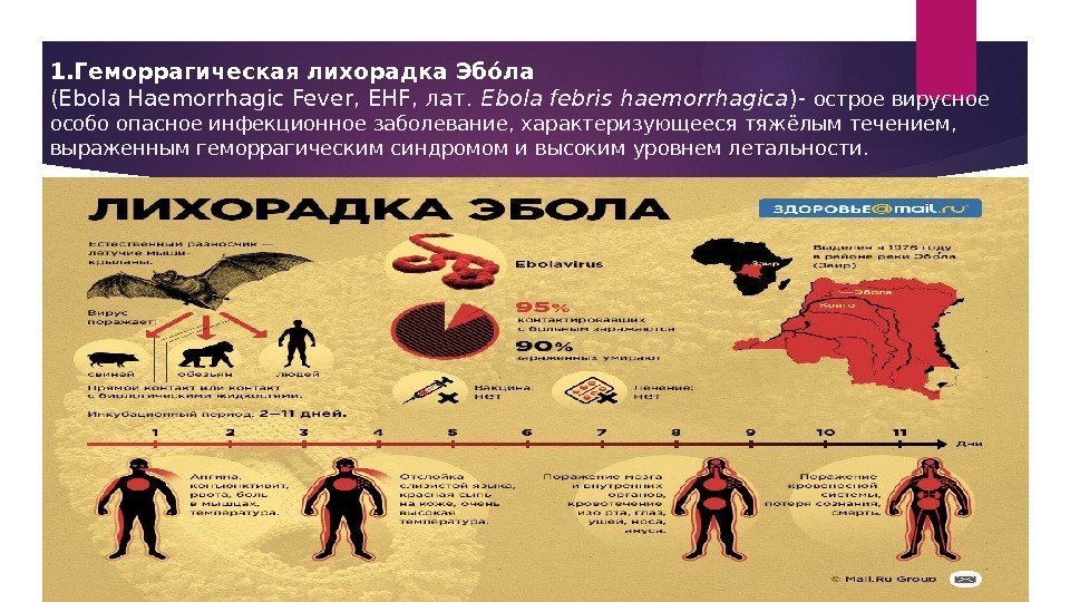 1. Геморрагическая лихорадка. Эбоо ла (Ebola Haemorrhagic Fever, EHF, лат. Ebola febris haemorrhagica )-